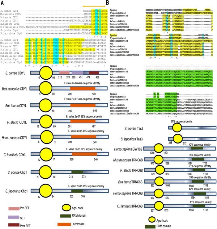 https://cdn.ncbi.nlm.nih.gov/pmc/blobs/e408/5391189/b92552c9a5e1/1132fig4.jpg