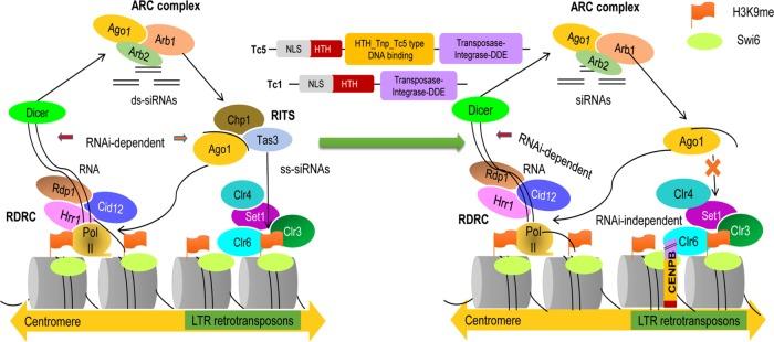 https://cdn.ncbi.nlm.nih.gov/pmc/blobs/e408/5391189/e60ada985d29/1132fig9.jpg