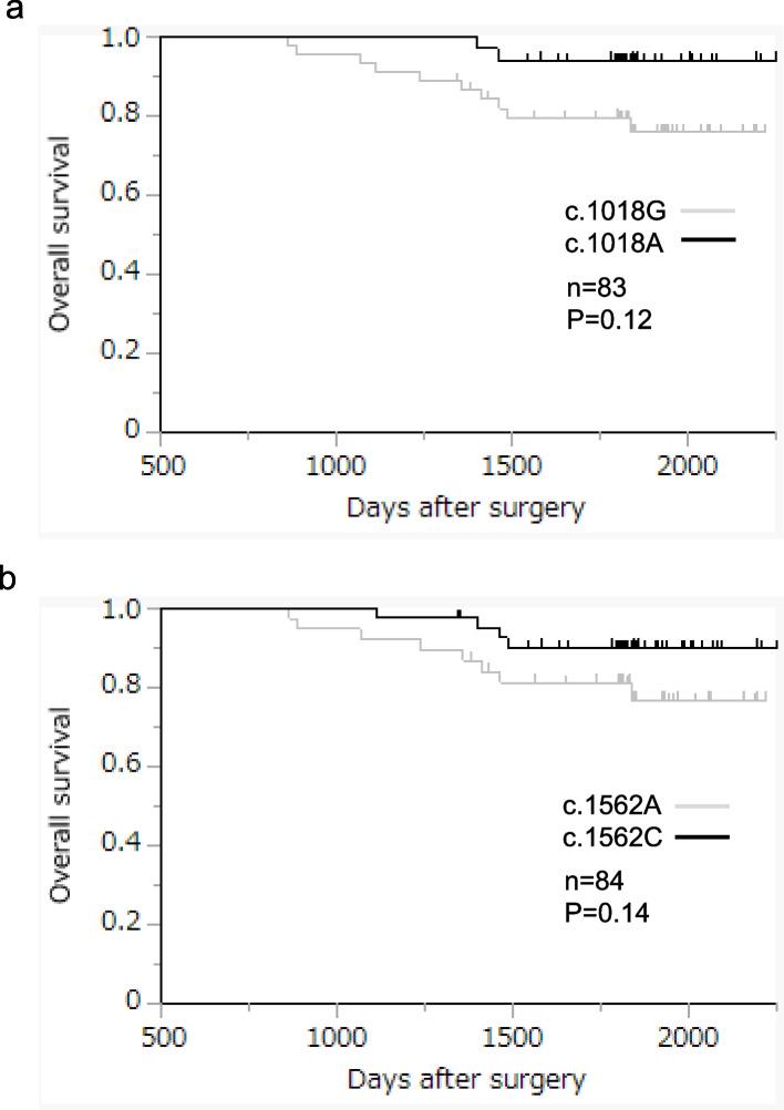 https://cdn.ncbi.nlm.nih.gov/pmc/blobs/e409/10544379/a5c91ae77d72/12876_2023_2975_Fig2_HTML.jpg