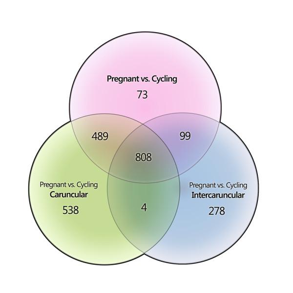 https://cdn.ncbi.nlm.nih.gov/pmc/blobs/e40a/3091670/65147afb2386/1471-2164-11-474-1.jpg