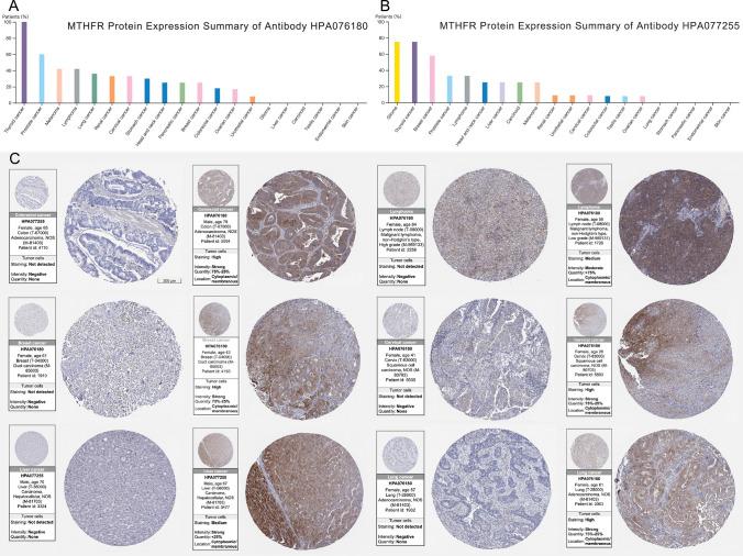 https://cdn.ncbi.nlm.nih.gov/pmc/blobs/e40b/10290629/12f78e2293b2/12672_2023_716_Fig10_HTML.jpg