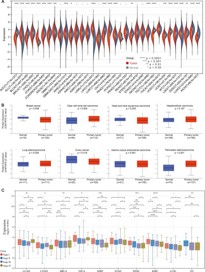 https://cdn.ncbi.nlm.nih.gov/pmc/blobs/e40b/10290629/33f6b156aee7/12672_2023_716_Fig1_HTML.jpg