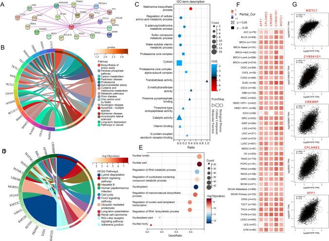 https://cdn.ncbi.nlm.nih.gov/pmc/blobs/e40b/10290629/9e0ff3a28e73/12672_2023_716_Fig6_HTML.jpg