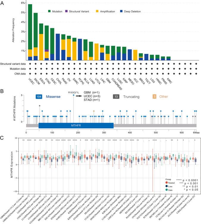 https://cdn.ncbi.nlm.nih.gov/pmc/blobs/e40b/10290629/dd5be83a3f34/12672_2023_716_Fig3_HTML.jpg