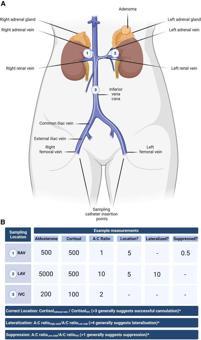 https://cdn.ncbi.nlm.nih.gov/pmc/blobs/e40b/10765166/31c9552bd319/bnad026f3.jpg