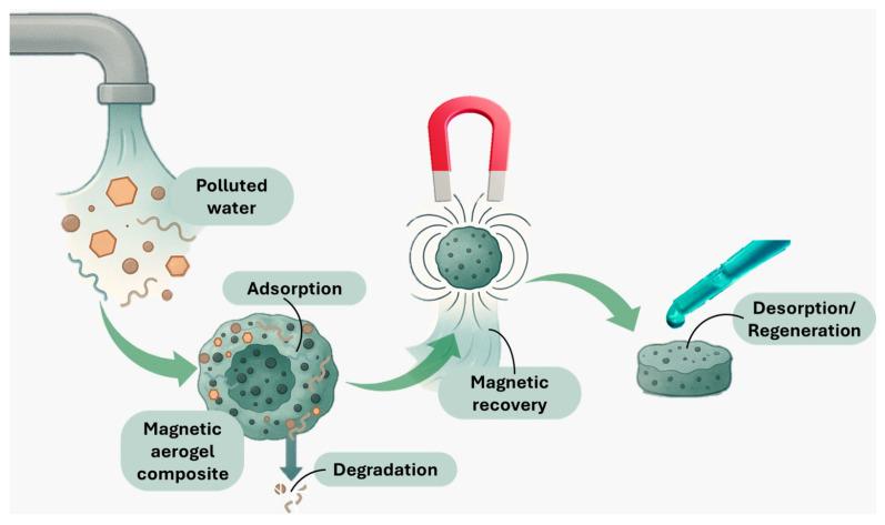 https://cdn.ncbi.nlm.nih.gov/pmc/blobs/e40c/12299277/fcd2e2c986a0/nanomaterials-15-01133-g003.jpg