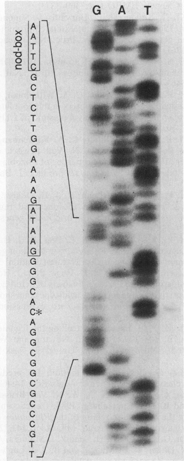 https://cdn.ncbi.nlm.nih.gov/pmc/blobs/e411/210574/a5b8bcebd044/jbacter00178-0385-a.jpg