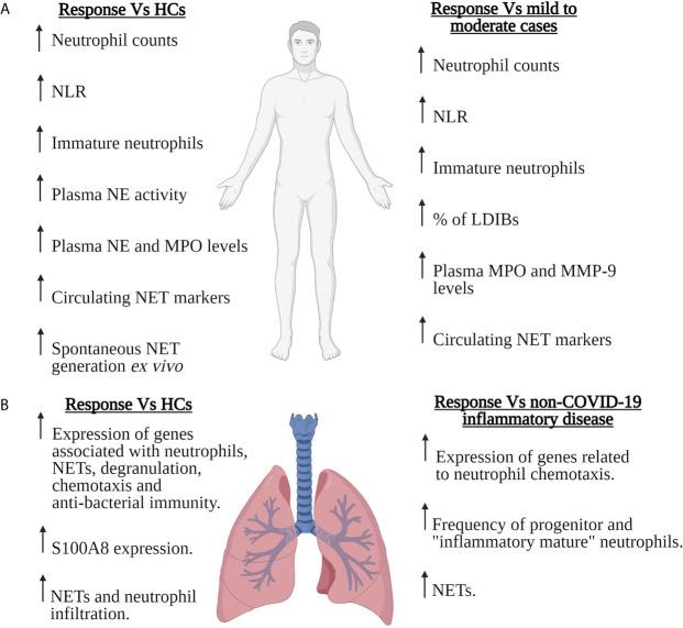 https://cdn.ncbi.nlm.nih.gov/pmc/blobs/e411/8206563/296fb50a19c1/fimmu-12-680134-g001.jpg