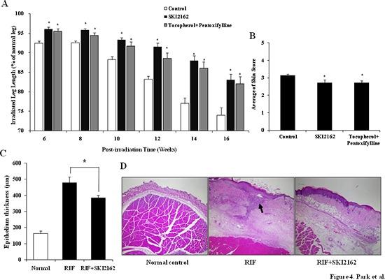 https://cdn.ncbi.nlm.nih.gov/pmc/blobs/e416/4414180/c8f8de180d7a/oncotarget-06-4171-g004.jpg