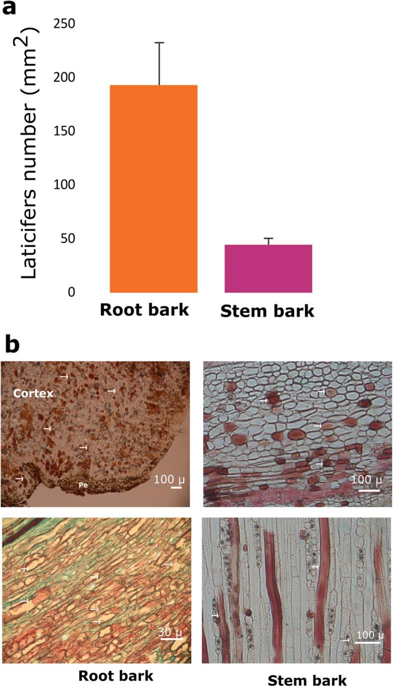https://cdn.ncbi.nlm.nih.gov/pmc/blobs/e416/6921603/0022d205cc6a/12870_2019_2195_Fig9_HTML.jpg