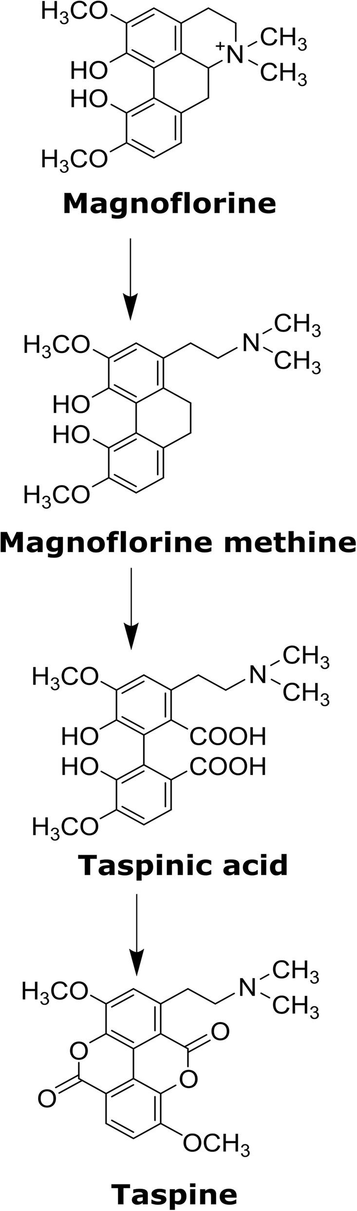 https://cdn.ncbi.nlm.nih.gov/pmc/blobs/e416/6921603/1beeb7935039/12870_2019_2195_Fig7_HTML.jpg