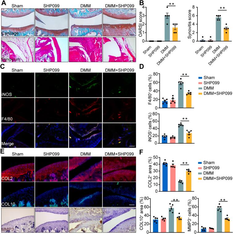 https://cdn.ncbi.nlm.nih.gov/pmc/blobs/e416/9293663/0545ec4f8160/gr6.jpg