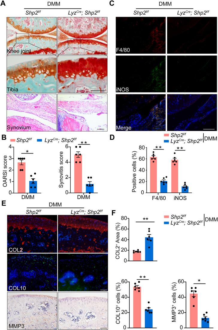 https://cdn.ncbi.nlm.nih.gov/pmc/blobs/e416/9293663/44f893da2d53/gr2.jpg