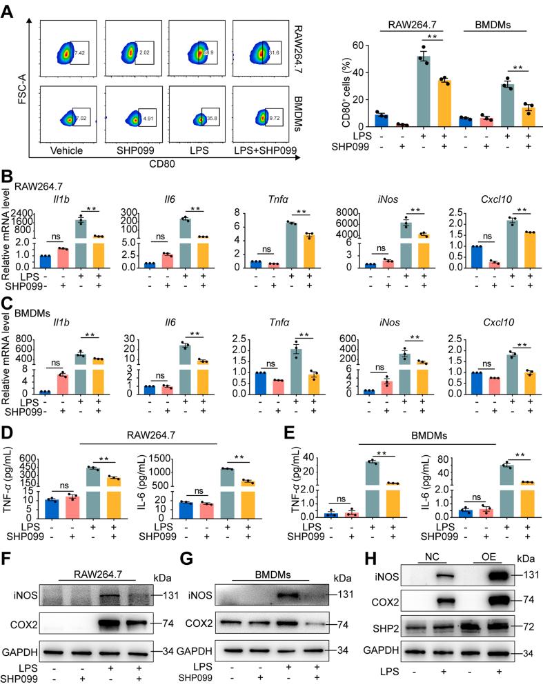 https://cdn.ncbi.nlm.nih.gov/pmc/blobs/e416/9293663/9aefc3f15902/gr3.jpg
