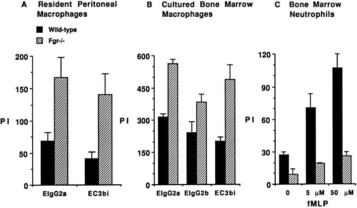 https://cdn.ncbi.nlm.nih.gov/pmc/blobs/e417/2195814/64df90b39237/JEM991521.f3.jpg