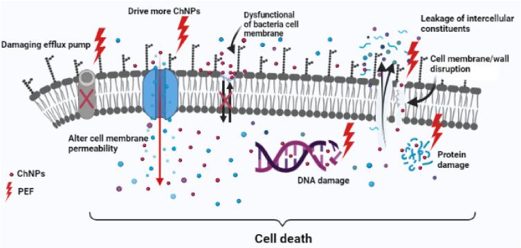 https://cdn.ncbi.nlm.nih.gov/pmc/blobs/e419/8200249/ea941244f5ae/polymers-13-01869-g012.jpg