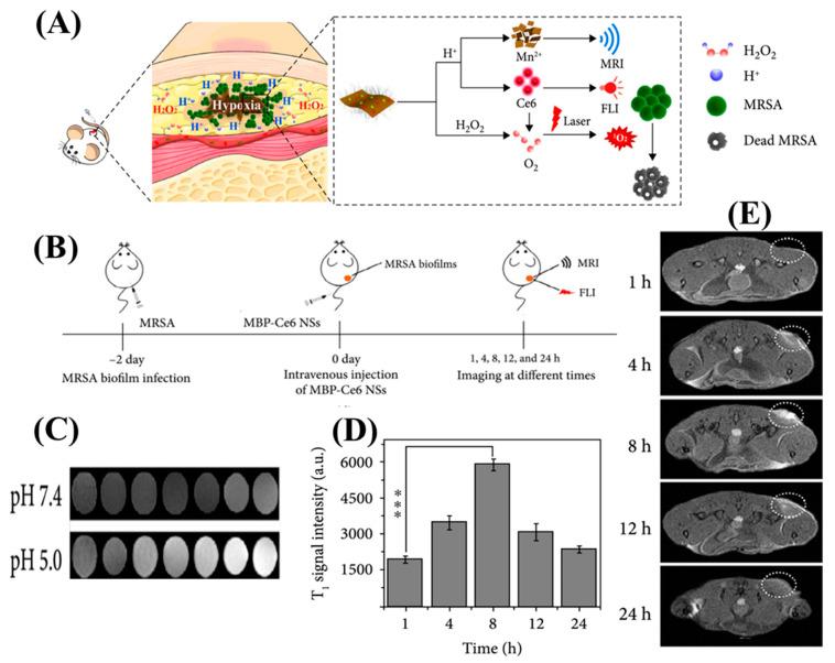 https://cdn.ncbi.nlm.nih.gov/pmc/blobs/e41a/10343825/14b8232b112f/nanomaterials-13-02003-g003.jpg