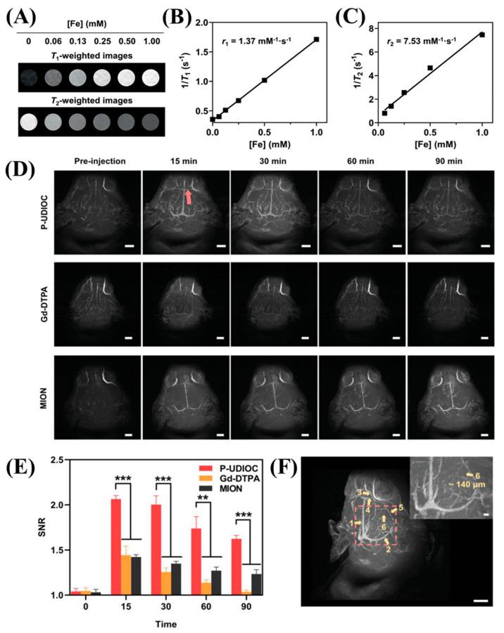 https://cdn.ncbi.nlm.nih.gov/pmc/blobs/e41a/10343825/3a2b5c48fdcb/nanomaterials-13-02003-g004.jpg