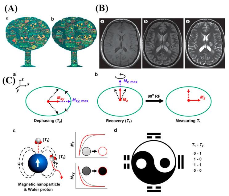 https://cdn.ncbi.nlm.nih.gov/pmc/blobs/e41a/10343825/bedf345996c5/nanomaterials-13-02003-g002.jpg