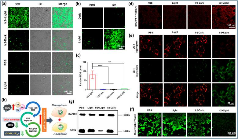 https://cdn.ncbi.nlm.nih.gov/pmc/blobs/e41b/10510766/48b0ab4d5076/d3sc03096b-f7.jpg