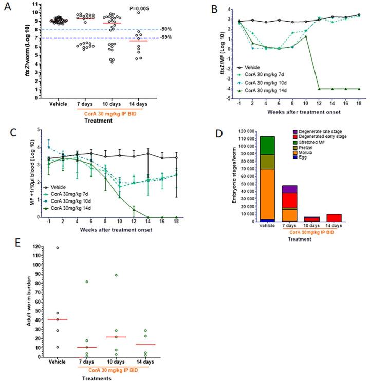 https://cdn.ncbi.nlm.nih.gov/pmc/blobs/e41f/7746275/06e883c9c7b8/pntd.0008930.g004.jpg