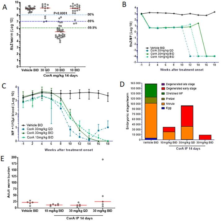 https://cdn.ncbi.nlm.nih.gov/pmc/blobs/e41f/7746275/e585fe06641a/pntd.0008930.g003.jpg