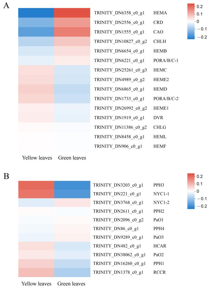 https://cdn.ncbi.nlm.nih.gov/pmc/blobs/e420/8775194/2327b4455163/genes-13-00071-g007.jpg