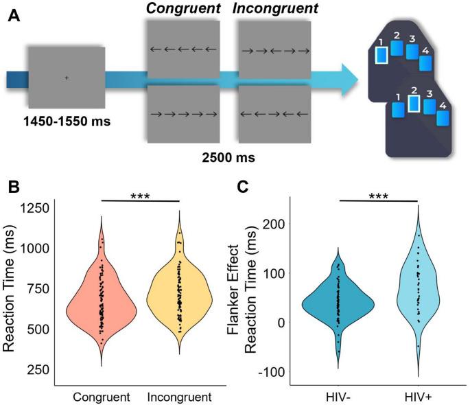 https://cdn.ncbi.nlm.nih.gov/pmc/blobs/e421/12141125/3c95a33ef53b/11481_2025_10219_Fig1_HTML.jpg