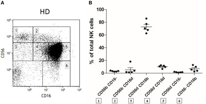 https://cdn.ncbi.nlm.nih.gov/pmc/blobs/e422/5474676/7446f2df393a/fimmu-08-00699-g001.jpg