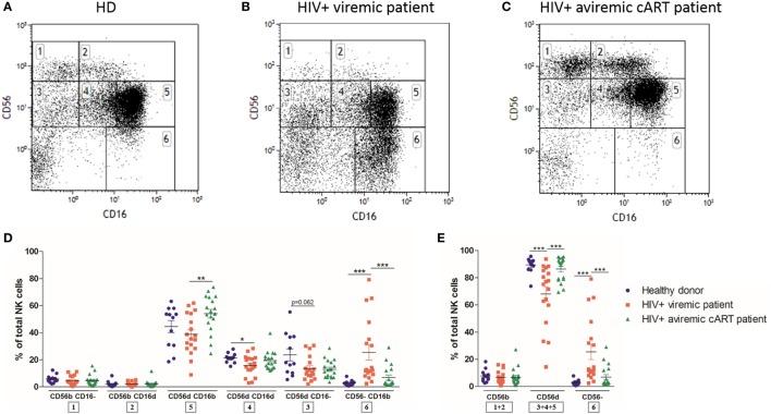 https://cdn.ncbi.nlm.nih.gov/pmc/blobs/e422/5474676/d5eac15ad2a1/fimmu-08-00699-g002.jpg