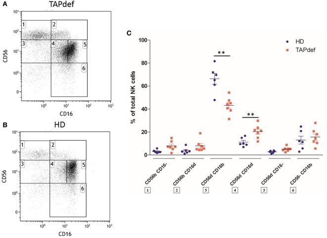 https://cdn.ncbi.nlm.nih.gov/pmc/blobs/e422/5474676/dd21e827a1d0/fimmu-08-00699-g007.jpg