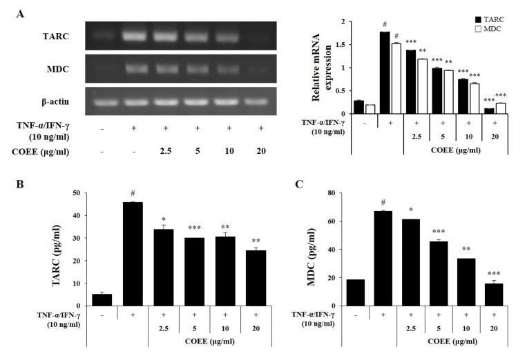 https://cdn.ncbi.nlm.nih.gov/pmc/blobs/e422/6591502/d043a3a9915d/etm-18-01-0833-g02.jpg