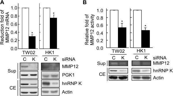 https://cdn.ncbi.nlm.nih.gov/pmc/blobs/e423/4033617/1ae5e2d2c6a8/1471-2407-14-348-3.jpg