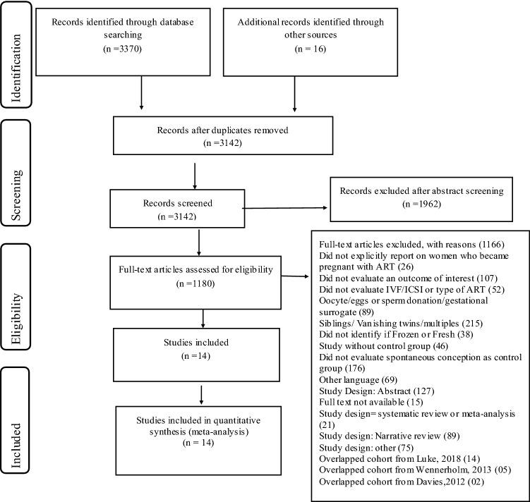 https://cdn.ncbi.nlm.nih.gov/pmc/blobs/e424/7266861/7d001aa25e33/404_2020_5593_Fig1_HTML.jpg