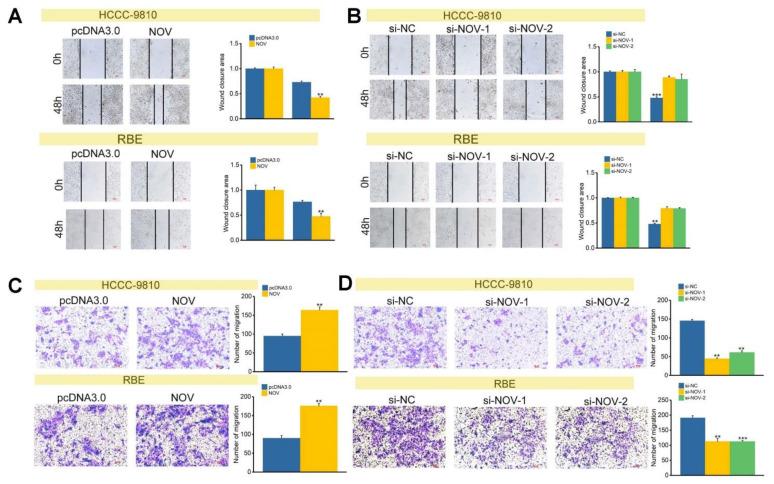 https://cdn.ncbi.nlm.nih.gov/pmc/blobs/e424/8621878/d3a268ad9464/genes-12-01659-g005.jpg