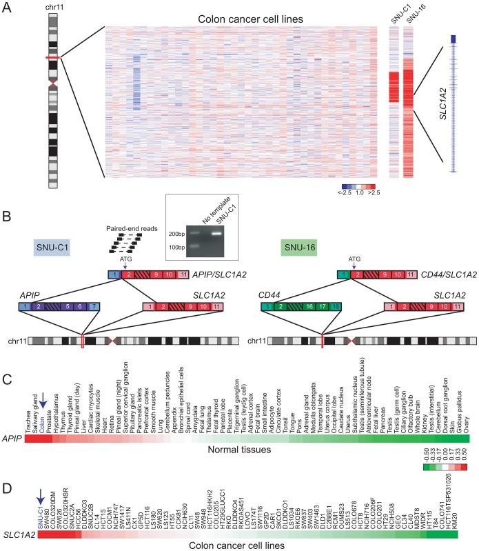 https://cdn.ncbi.nlm.nih.gov/pmc/blobs/e425/3636093/e1dd4f1b8dd0/pgen.1003464.g003.jpg