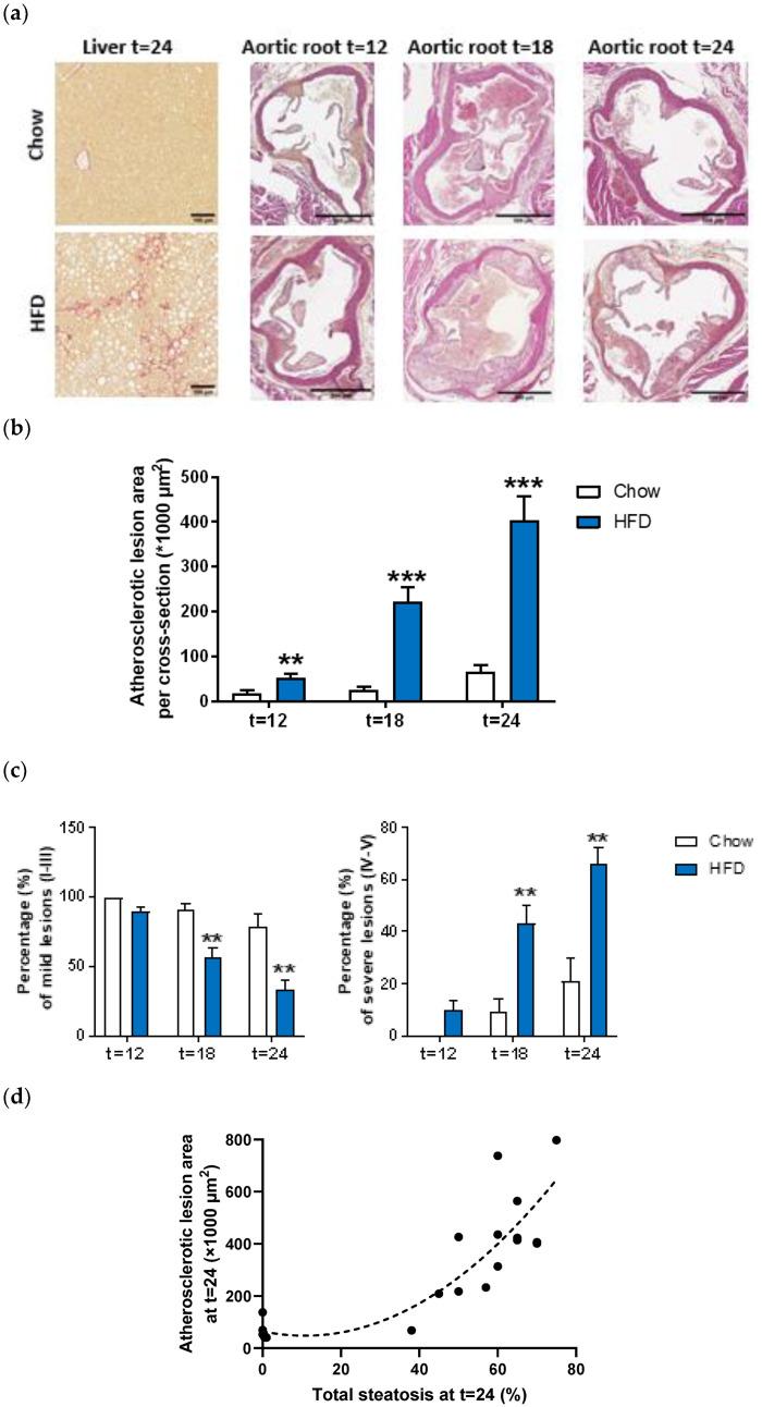 https://cdn.ncbi.nlm.nih.gov/pmc/blobs/e426/9331250/0f2c0eb2fd07/ijms-23-08229-g001.jpg