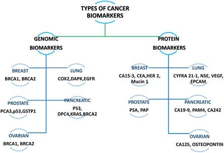 https://cdn.ncbi.nlm.nih.gov/pmc/blobs/e42a/11935140/30d2ae14e133/SMSC-4-2300221-g002.jpg