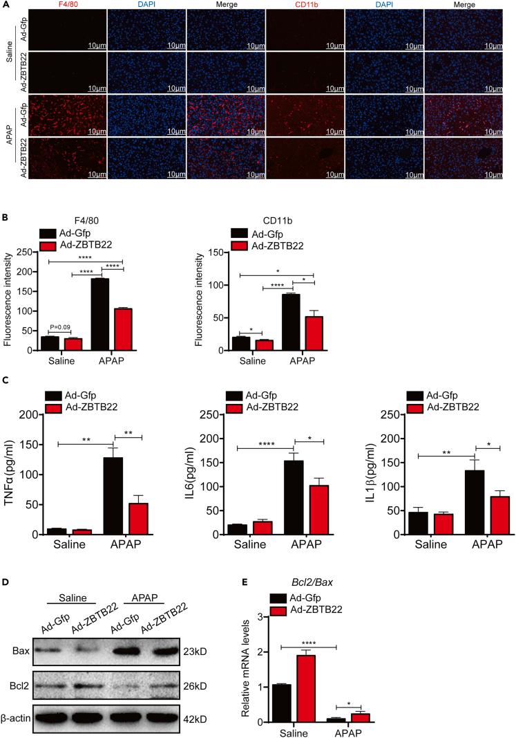 https://cdn.ncbi.nlm.nih.gov/pmc/blobs/e42b/10025966/0f8af687aec6/gr9.jpg