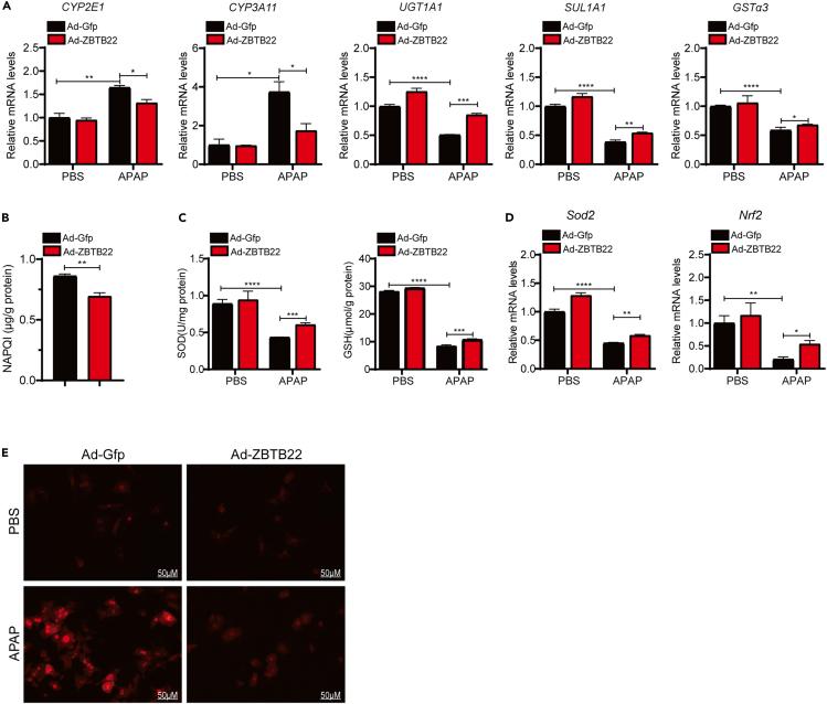 https://cdn.ncbi.nlm.nih.gov/pmc/blobs/e42b/10025966/35282fa8c862/gr4.jpg