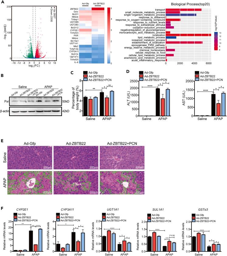 https://cdn.ncbi.nlm.nih.gov/pmc/blobs/e42b/10025966/5f5163fa81b2/gr10.jpg