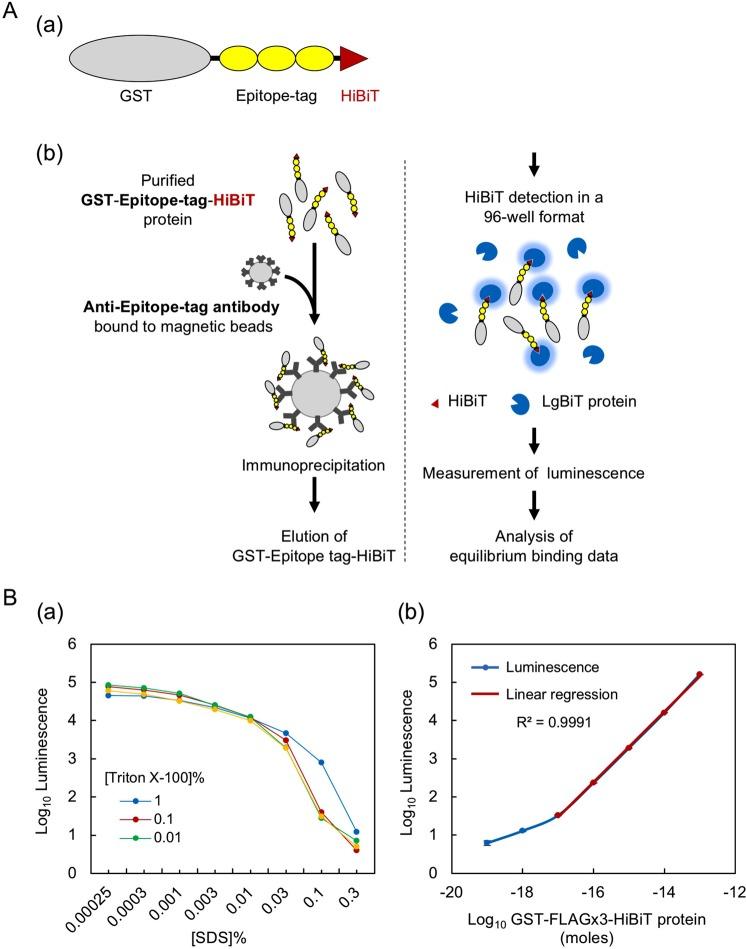 https://cdn.ncbi.nlm.nih.gov/pmc/blobs/e42c/6499798/50fee35f8dd3/41598_2019_43319_Fig1_HTML.jpg