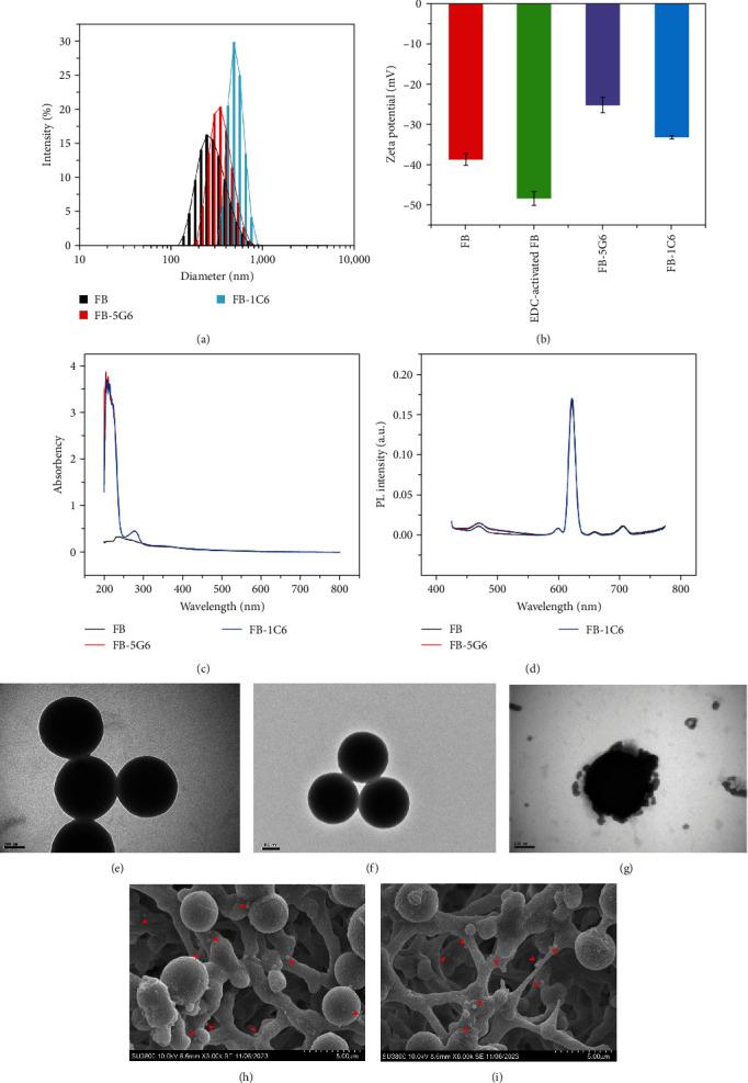 https://cdn.ncbi.nlm.nih.gov/pmc/blobs/e42f/12016916/b876982ce194/TBED2024-1628008.002.jpg