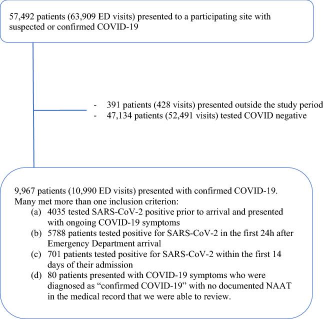 https://cdn.ncbi.nlm.nih.gov/pmc/blobs/e42f/9197900/9b194c78e765/43678_2022_275_Fig1_HTML.jpg