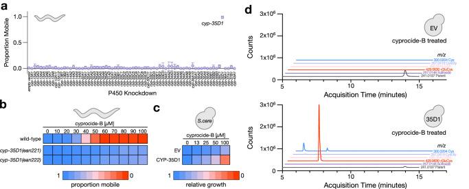 https://cdn.ncbi.nlm.nih.gov/pmc/blobs/e430/11219838/3055ea828ca5/41467_2024_49738_Fig3_HTML.jpg