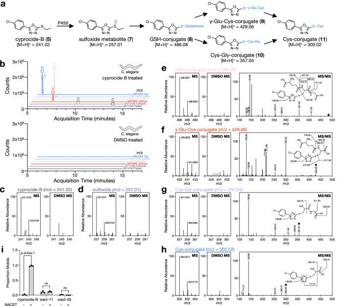 https://cdn.ncbi.nlm.nih.gov/pmc/blobs/e430/11219838/33c72d8b5194/41467_2024_49738_Fig2_HTML.jpg