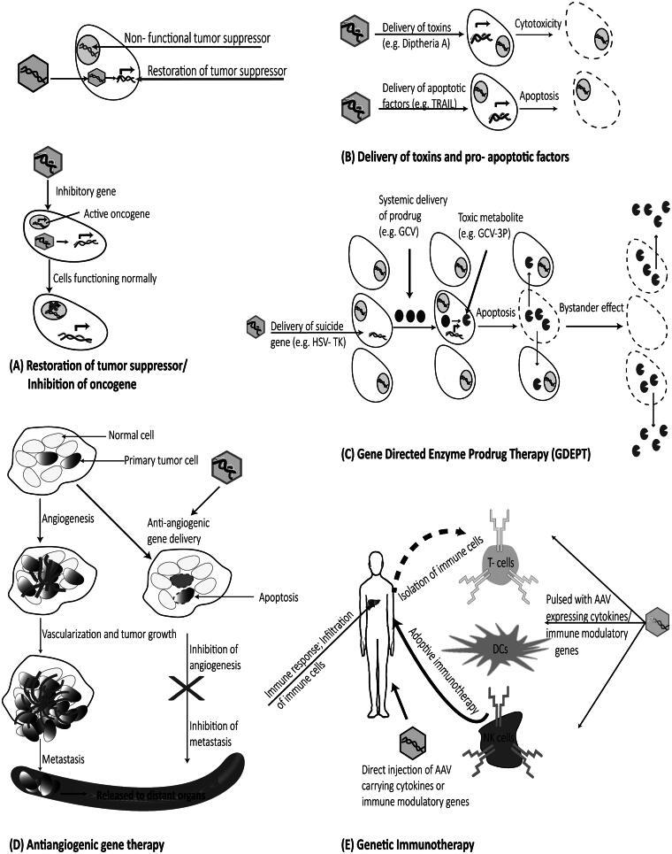 https://cdn.ncbi.nlm.nih.gov/pmc/blobs/e430/8241004/dbfeb8de1c7c/IDRD_A_1247926_F0001_B.jpg
