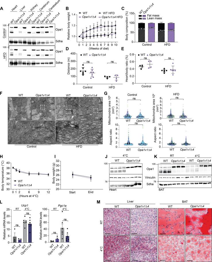 https://cdn.ncbi.nlm.nih.gov/pmc/blobs/e432/11296347/129477ca75f4/sciadv.adp0443-f4.jpg