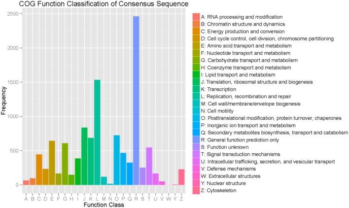 https://cdn.ncbi.nlm.nih.gov/pmc/blobs/e432/5943558/9a0523c55361/fphys-09-00383-g0003.jpg