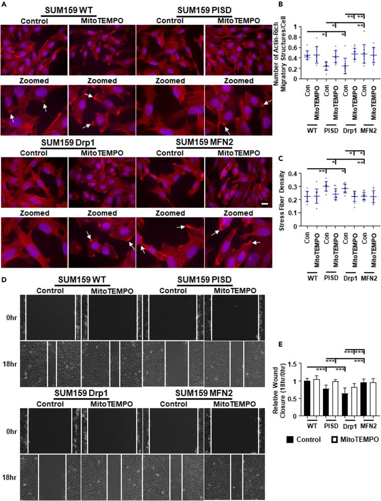https://cdn.ncbi.nlm.nih.gov/pmc/blobs/e433/10206500/dce1bcc38716/gr7.jpg